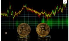 Τα κρυπτοστοιχεία ως χρηματοπιστωτικά μέσα <br/>και τα ανταλλακτήρια ψηφιακών περιουσιακών στοιχείων ως οργανωμένες αγορές <br>Σκέψεις με αφορμή τις υποθέσεις <br/>SEC v. Binance Holdings Ltd. (2023-2025), <br/>SEC v. Coinbase Inc. (2023-2025) <br/>και United States v. Chastain (2025)