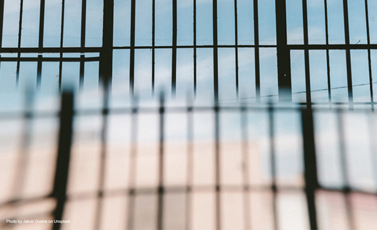 What’s new in the 2020 European Prison Rules? Innovative provisions on separation, solitary confinement, and other prison practices.
