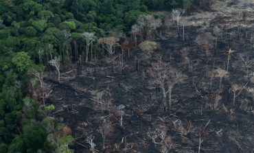 Οικοκτονία(ecocide):αναφορά <br>στο Διεθνές Ποινικό Δικαστήριο <br/>για την οικολογική καταστροφή <br/>του δάσους του Αμαζονίου